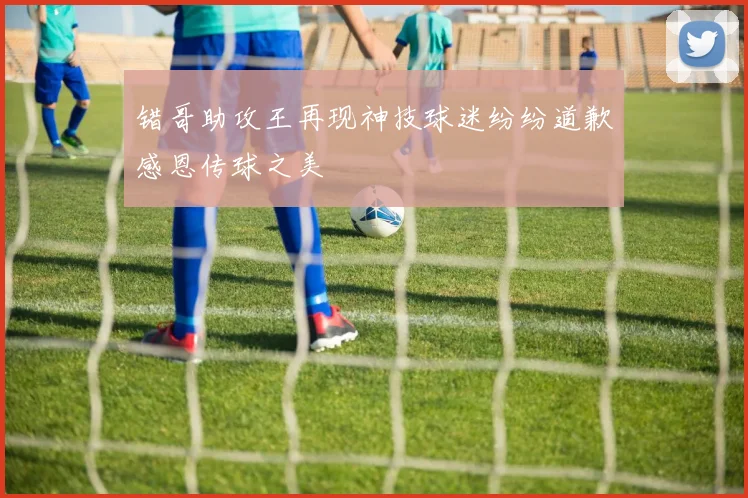 错哥助攻王再现神技球迷纷纷道歉感恩传球之美