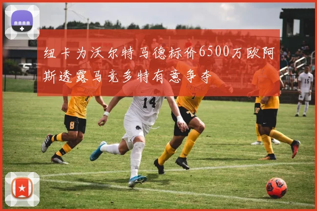 纽卡为沃尔特马德标价6500万欧阿斯透露马竞多特有意争夺