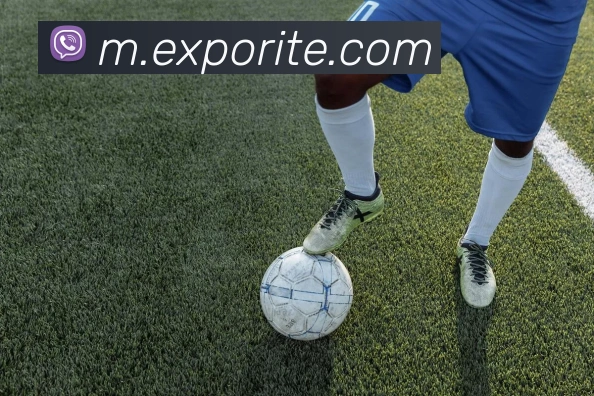 leyu乐鱼在线体育平台生态图